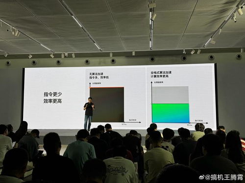 ColorOS 15流暢雙引擎技術(shù)溝通會(huì) 信息技術(shù)咨詢服務(wù)的深度洞察